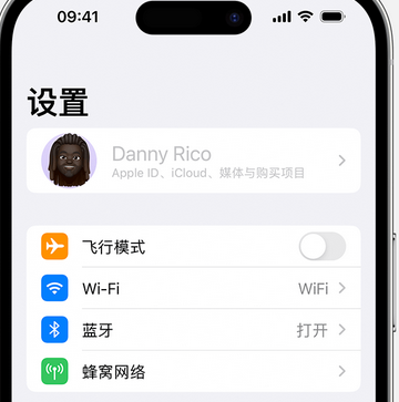 盈江appleID维修服务iPhone设置中Apple ID显示为灰色无法使用 