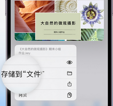 盈江apple维修中心分享iPhone文件应用中存储和找到下载文件