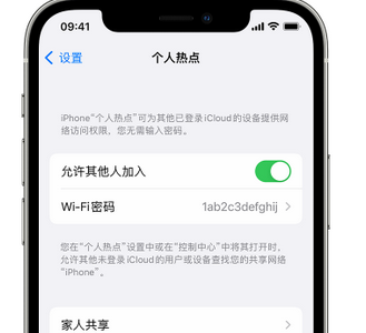 盈江apple服务站点分享iPhone上个人热点丢失了怎么办