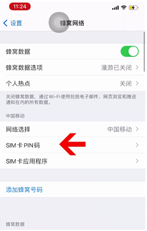 盈江苹果14维修网分享如何给iPhone14的SIM卡设置密码 