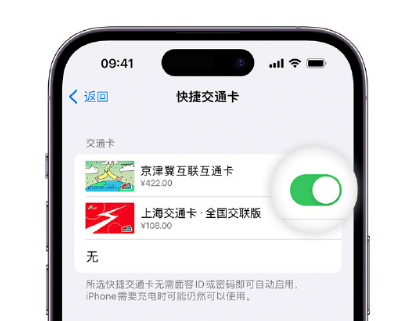 盈江apple维修点分享iPhone上更换Apple Pay快捷交通卡手绘卡面 