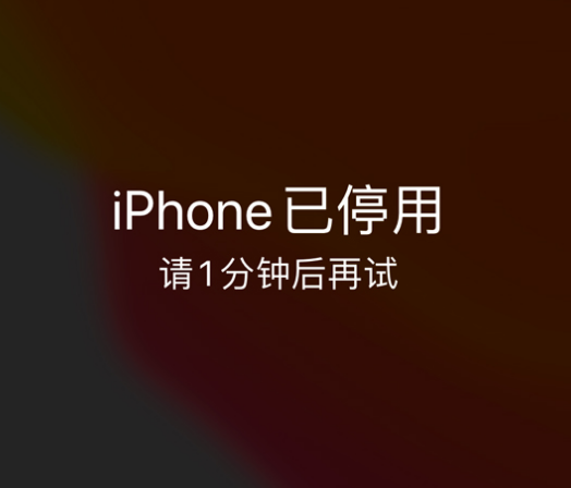 盈江苹果手机维修分享:iPhone 显示“不可用”或“已停用”怎么办？还能保留数据吗？ 