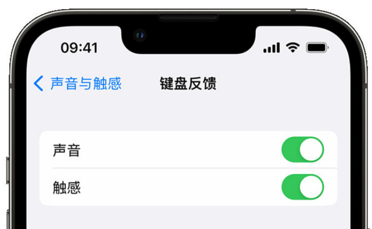 盈江苹果手机维修分享iPhone 14触感键盘使用方法 