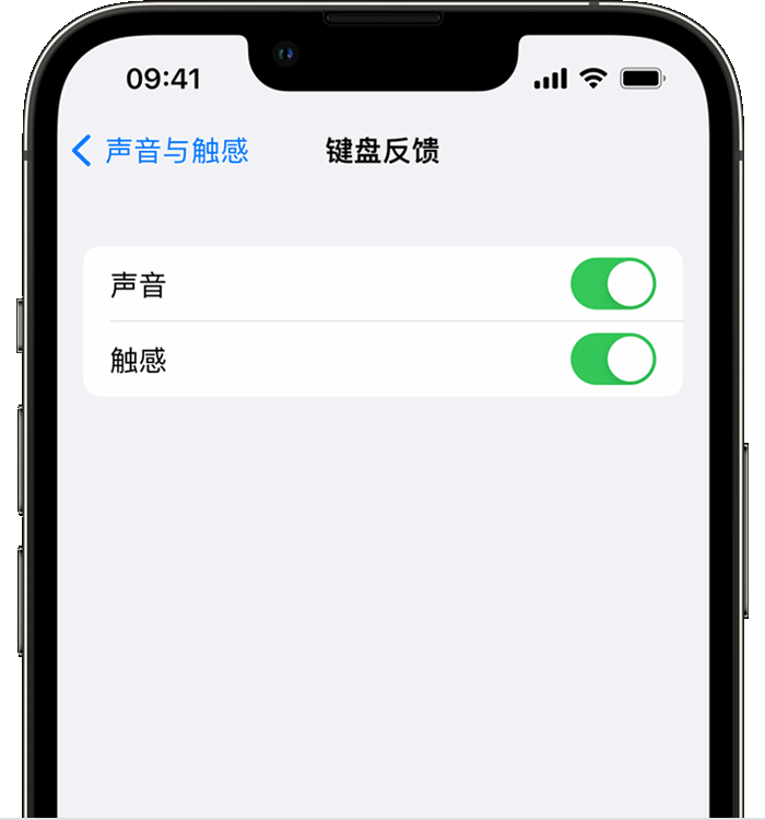 盈江苹果14维修店分享如何在 iPhone 14 机型中使用触感键盘 