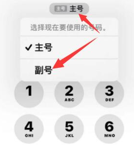 盈江苹果14维修店分享iPhone 14 Pro Max使用副卡打电话的方法 