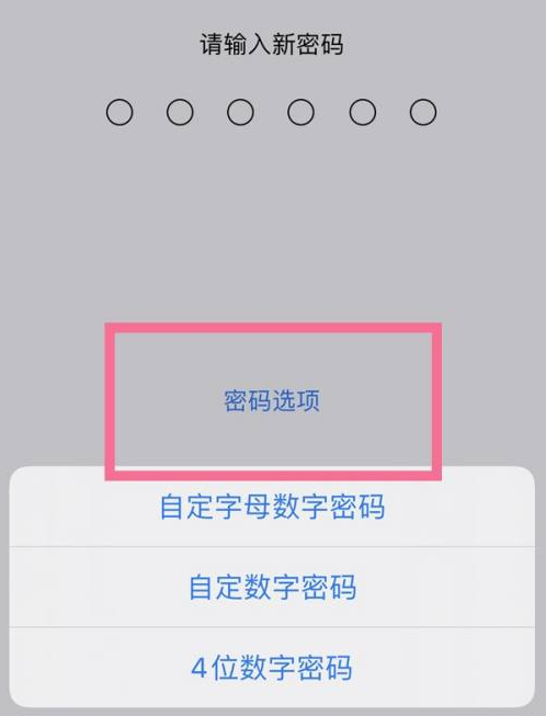 盈江苹果14维修分享iPhone 14plus设置密码的方法 