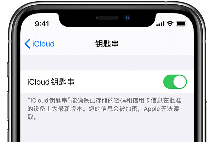 盈江苹果手机维修分享在 iPhone 上开启 iCloud 钥匙串之后会储存哪些信息 