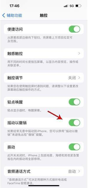 盈江苹果手机维修分享iPhone手机如何设置摇一摇删除文字 