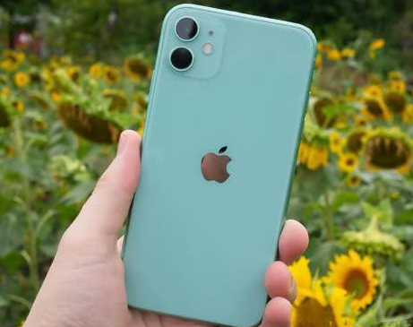 盈江苹果维修点分享iPhone 11锁屏密码认知与使用科普 